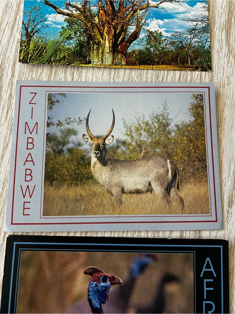 Set of 6 Vintage African Zimbabwe Post Cards